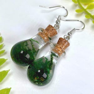 Boucles d'oreilles mousse dans une bouteille : mousse véritable, acier inoxydable