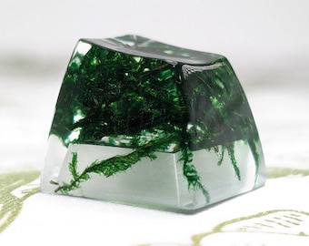 May include: A clear resin keycap with a green moss design. The moss is encased in the resin, creating a unique and natural look.