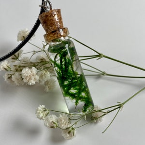Puede incluir: Un collar con un vial de vidrio y un tapón de corcho, lleno de musgo verde preservado. El vial cuelga de un cordón negro.