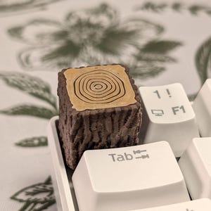 May include: A brown and tan keycap shaped like a tree stump with a wood grain pattern. The keycap is on a white keyboard with the keys labelled "Tab", "1!" and "2@".
