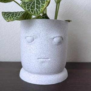 Maceta con forma de cara de gruñón y bandeja antigoteo - diseño estilizado de caricatura.