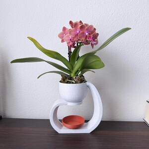 May include: A pink orchid plant in a white ceramic pot with a white ceramic stand. The stand has a small, orange saucer underneath the pot.