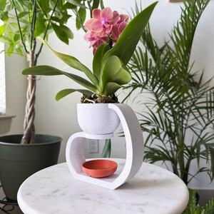 May include: A white ceramic planter with a unique design, featuring a raised lip and a separate, smaller dish. A pink orchid plant is potted in the planter, with its flowers in full bloom.