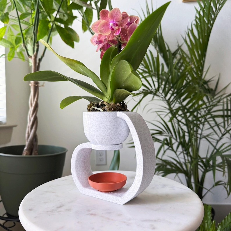 May include: A white ceramic planter with a unique design, featuring a raised lip and a separate, smaller dish. A pink orchid plant is potted in the planter, with its flowers in full bloom.