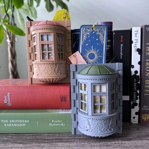 Puede incluir: Dos cajas de ventanas decorativas en miniatura, una en rosa y otra en gris, se exhiben en un estante con libros. La caja de ventana rosa tiene un diseño floral y la caja de ventana gris tiene un techo verde.