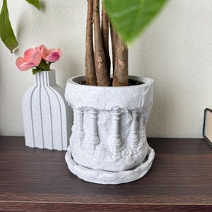 Peut inclure: Un pot en céramique blanche avec une surface texturée et un motif de colonnes autour du haut. Le pot a une soucoupe assortie et est rempli d'une plante d'intérieur avec plusieurs tiges brunes.