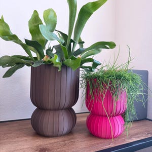 May include: Two decorative planters with plants. One is a dark brown, ribbed planter with a staghorn fern. The other is a bright pink, ribbed planter with a trailing plant. Both planters are on a wooden surface.