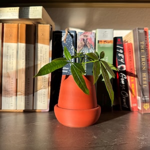 Minimalist Small Planter with Saucer – Modern Style Pot for Succulents & Indoor Plants