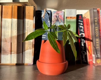 Minimalist Small Planter with Saucer – Modern Style Pot for Succulents & Indoor Plants