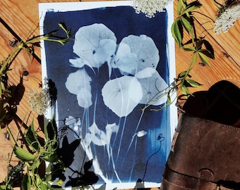 Op de afbeelding: Een botanische print met witte bladvormen op een donkerblauwe achtergrond. De print is omgeven door groene wijnranken en witte bloemen, op een houten oppervlak. Een bruin leren notitieboek is ook aanwezig.