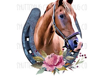 May include: A brown horse head with a blue halter and a horseshoe with floral accents. The horseshoe is blue with a rusty patina and the flowers are pink, purple, and green.