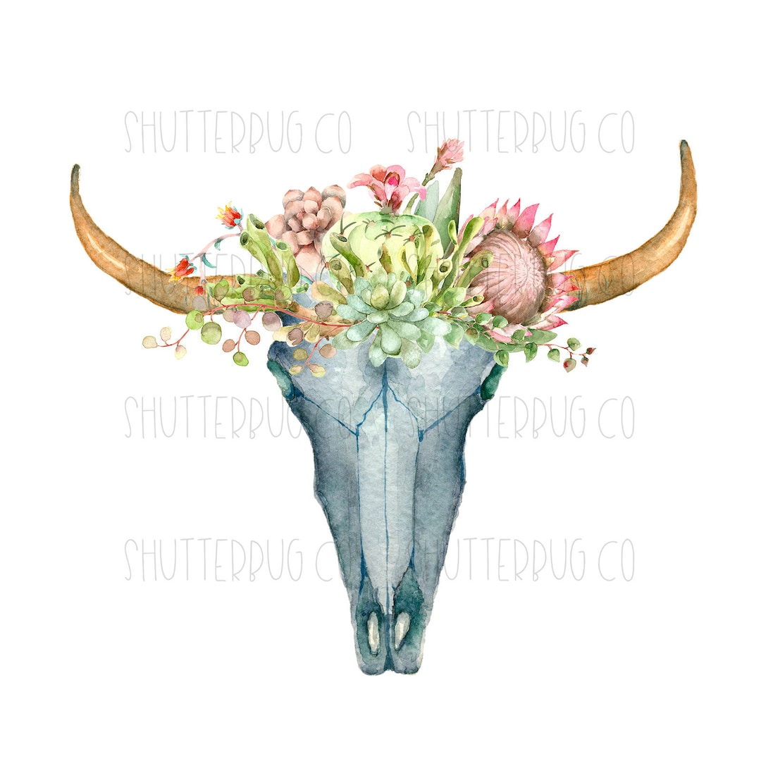 BOHO Cow Skull, Bohemian PNG, Cow Skull With Flowers, With Succulents ...