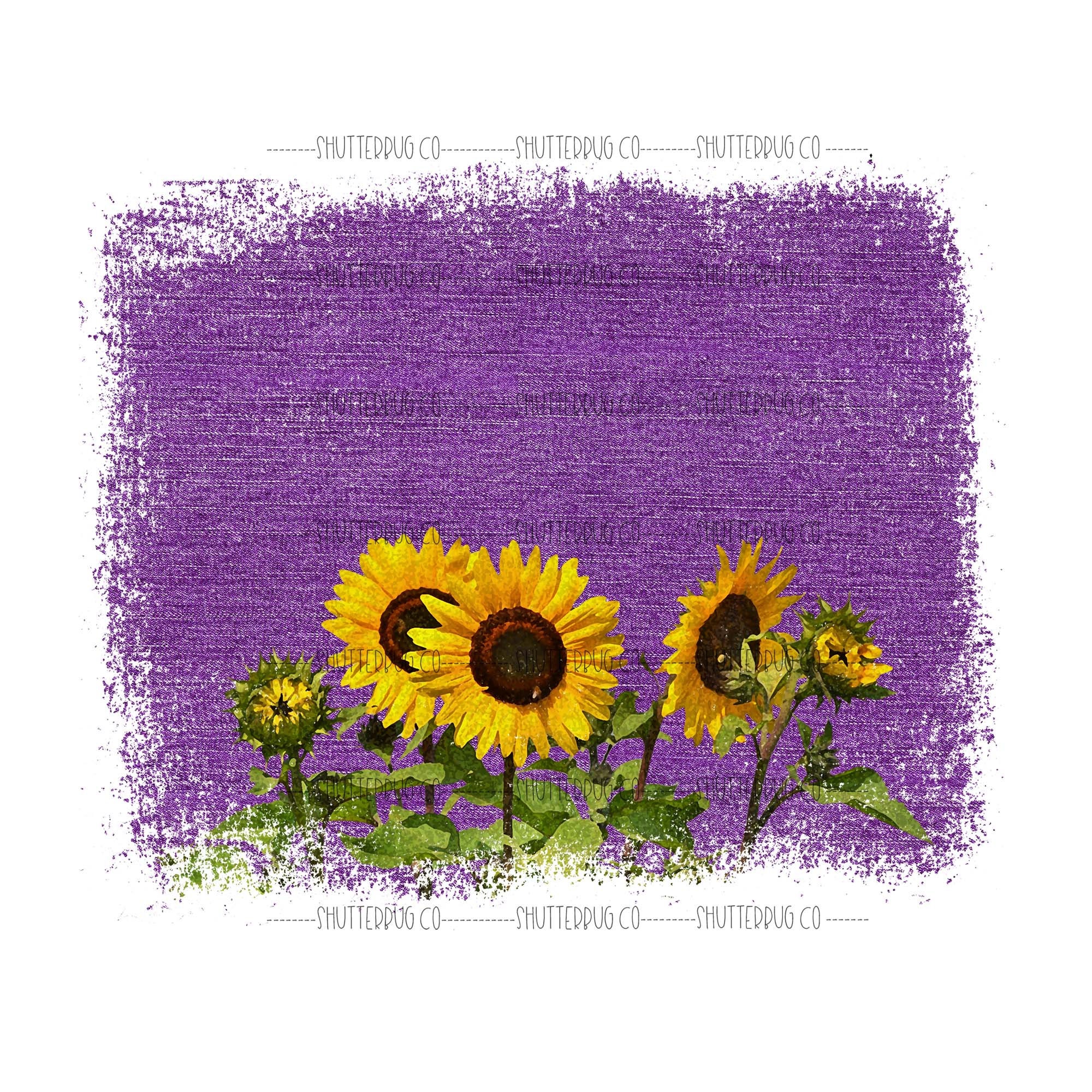 Sunflower Background Sublimation Sunflower PNG Denim Etsy