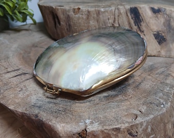 Vintage Mother of Pearl Purse, Brass Clasp, Collectable Shell Case