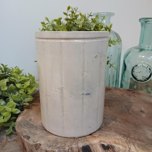 以下が含まれることがあります： 垂直の溝が入った、円筒形のオフホワイトの炻器の壺。アンティークスタイルの容器には緑の葉が詰められています。背景には2本の水色のガラス瓶があり、壺は木製の表面に置かれています。