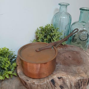 Puede incluir: Una cacerola de cobre con tapa y mango largo. La olla está sobre una superficie de madera. Dos botellas de vidrio y vegetación están en el fondo. La olla es de color marrón rojizo cálido.
