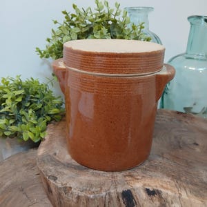 Op de afbeelding: Een bruine keramische pot met een bijpassend deksel, met twee zijhandvatten. De pot is cilindrisch met een getextureerd oppervlak. Het deksel ligt vlak bovenop. De achtergrond omvat groen en twee blauwe glazen flessen, allemaal rustend op een houten oppervlak.