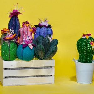 Cute Felt Cactus in mini bucket