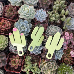 Cactus Tumbler Topper • Acrylic Plate 40oz  • Gifts