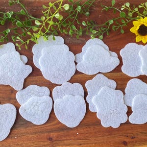 May include: A collection of white felt shapes with faint outlines of various designs, including flowers and butterflies, scattered across a wooden surface. The shapes are irregular and cloud-like, featuring subtle embossed patterns on their surfaces.