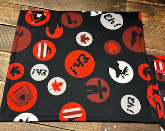 vinyl front project bag (needleminder not included)