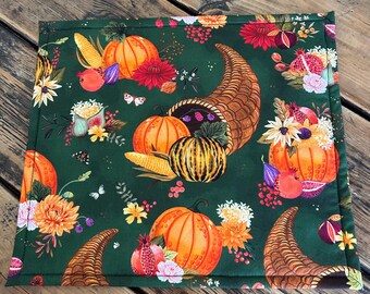 Vinyl front project bag