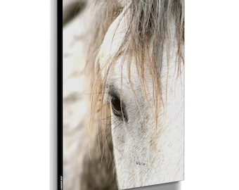 Wild Horse Wall Art | Photography | Color | Personalized Canvas | Poster | Framed Canvas | Limited Edition