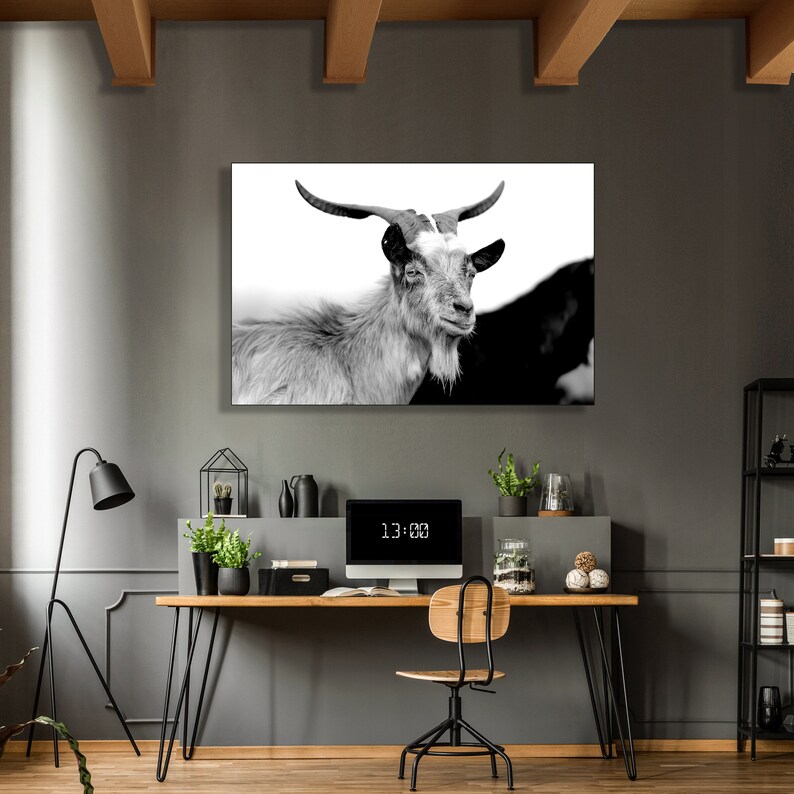 Mountain Goat Wall Art | Photography | Black and White | Personalized ...