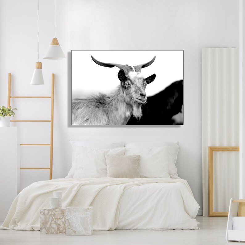 Mountain Goat Wall Art Photography Black and White Personalized Canvas