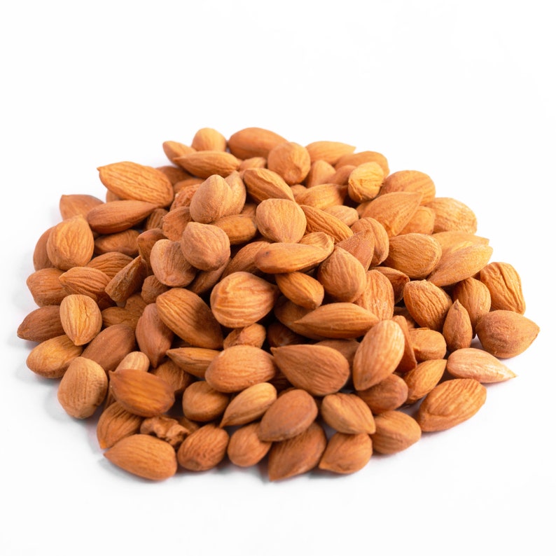 Apricots Seeds Dried Sweet Raw Apricot Seeds Natural BEST Etsy