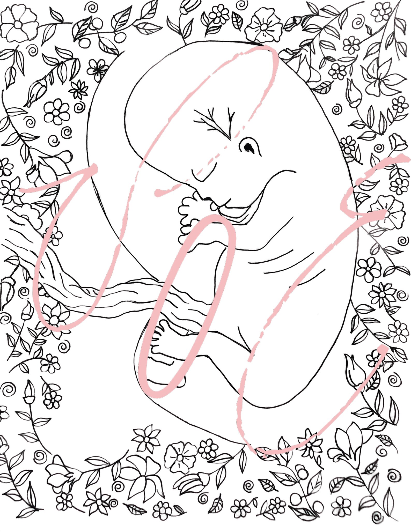 Gestation and Pregnancy Development Coloring Page Pack | Etsy