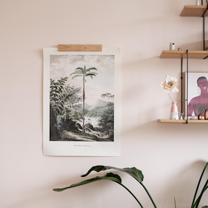 May include: A framed botanical print featuring a detailed illustration of a tropical landscape with a tall palm tree, mounted with a wooden bar. The print is displayed on a light pink wall, with a plant in the foreground and shelves in the background.