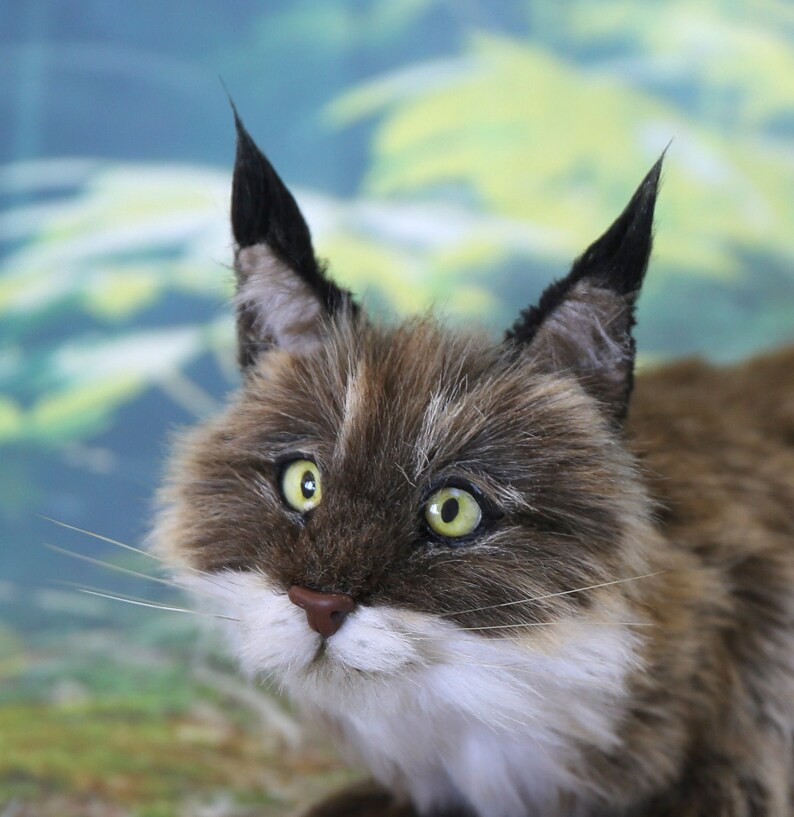 Origami Cat Face Video