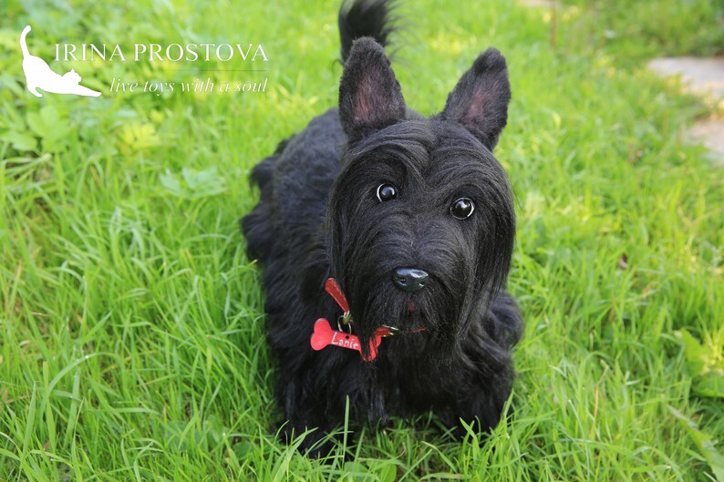 Scottish Terrier Dog plush toy FOR EXAMPLE for order Pet | Etsy
