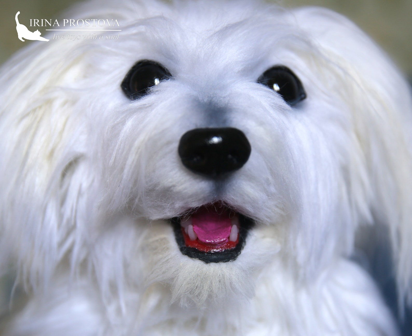 Maltese Dog Plush Toy FOR EXAMPLE for Order Life Sized Etsy