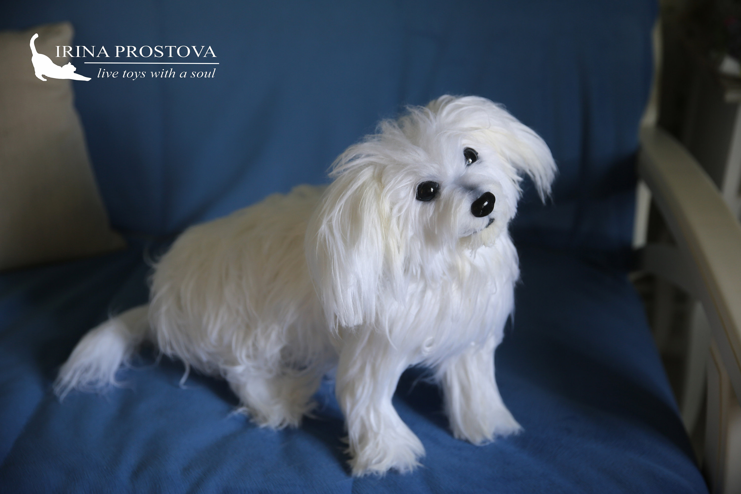 Maltese Dog Plush Toy FOR EXAMPLE for Order Life Sized Etsy