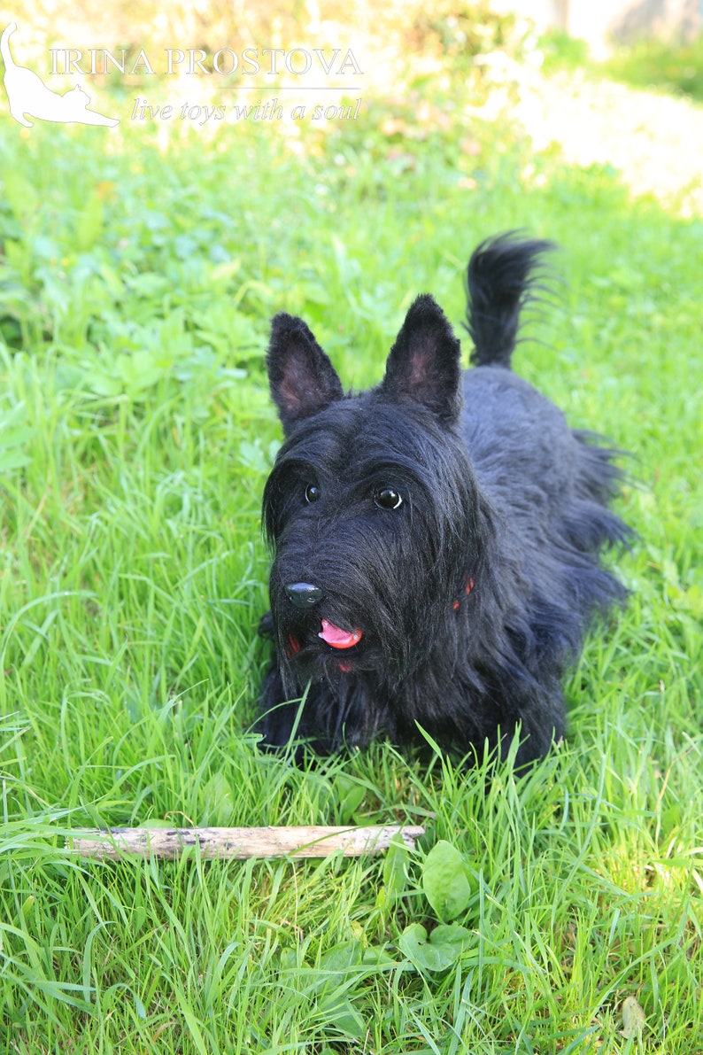 Scottish Terrier Dog plush toy FOR EXAMPLE for order Pet | Etsy