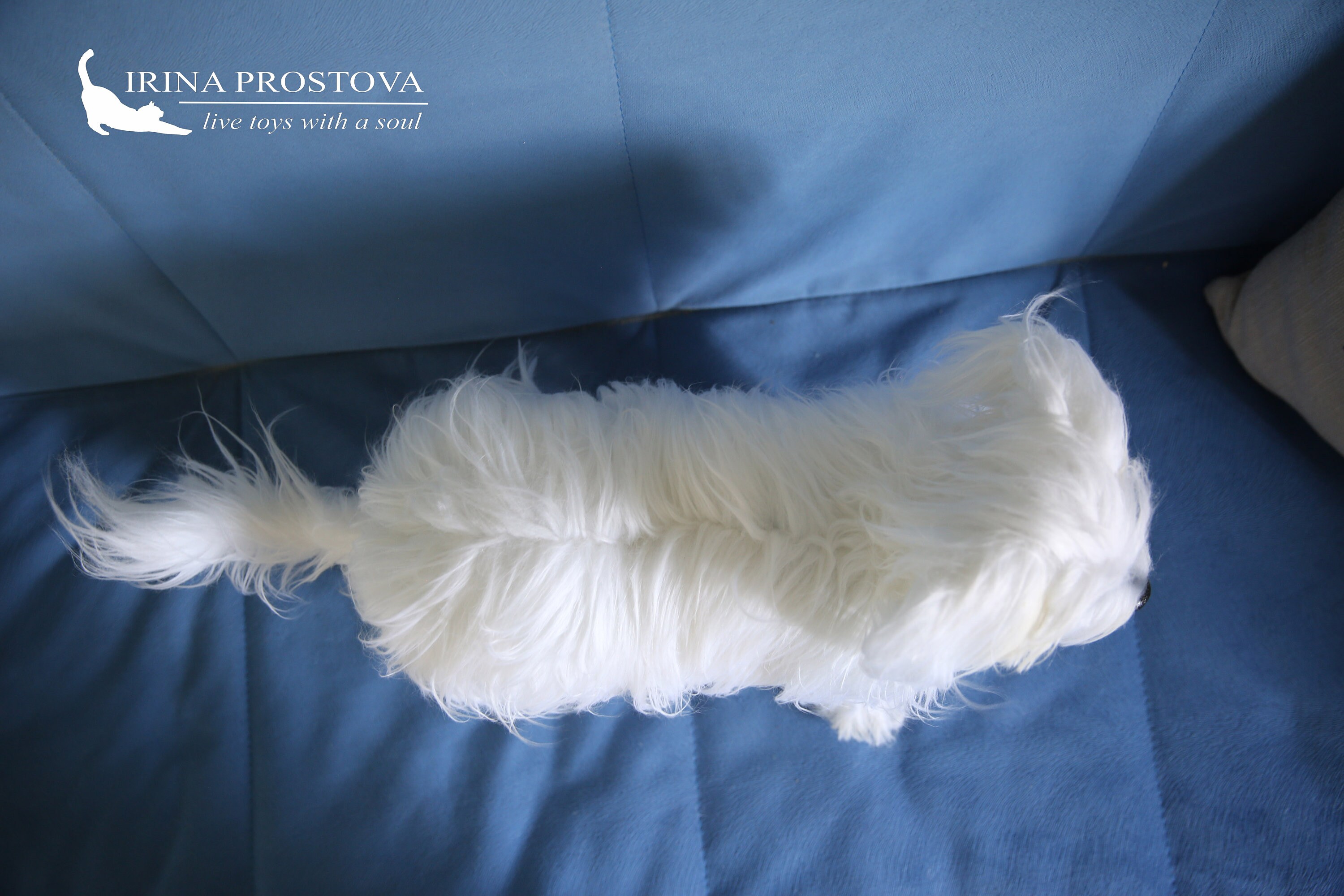 Maltese Dog Plush Toy FOR EXAMPLE for Order Life Sized Etsy