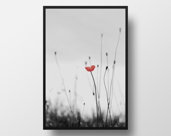Poppy flower art | Etsy