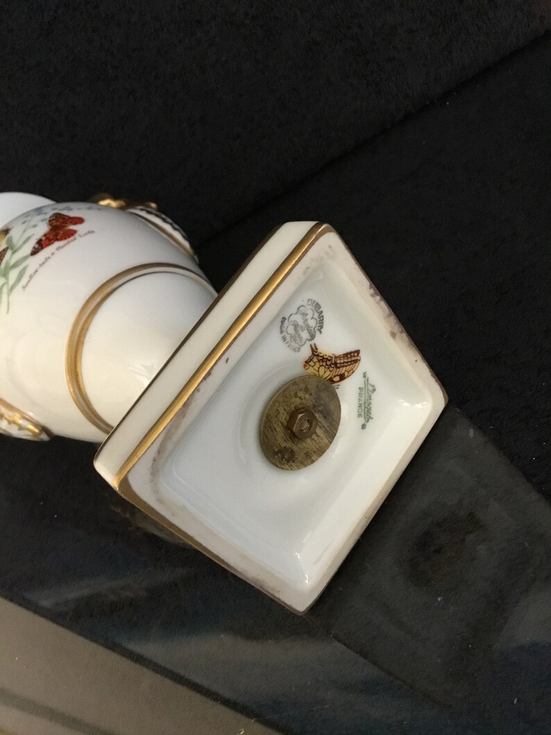 Limoges butterfly porcelain vase rare