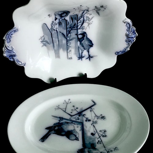 English porcelain Staffordshire Brown-Westhead, Moore shops & Co antique victorian plate and bowl with birds from 1800 rare