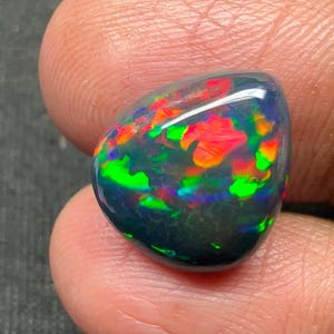 May include: A polished black opal gemstone with vibrant flashes of red, green, and orange. The gemstone is held between fingers, showcasing its iridescent play-of-color. The opal's surface is smooth and reflective, displaying a range of colors.