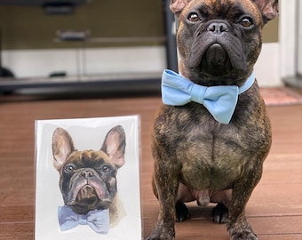 Hand-painted Pet Portrait, French Bulldog Portrait, Custom Dog Portrait, Portrait Dog, Pet Portraits fast shipping