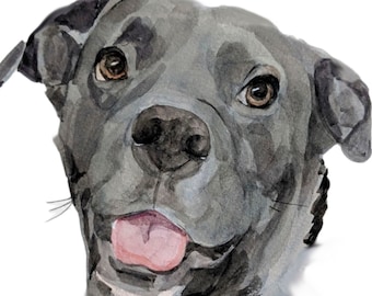 Custom Dog Portrait | Creative Dog Art | Unique Dog Gift | Happy Pet Art