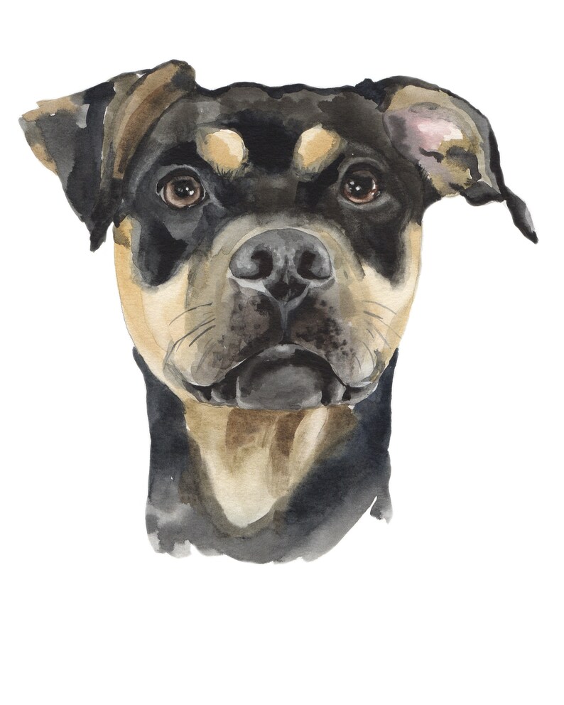 May include: Watercolor painting of a black and brown dog with a serious expression. The dog's fur is painted in shades of black, brown, and tan. The dog's eyes are brown and the nose is black.