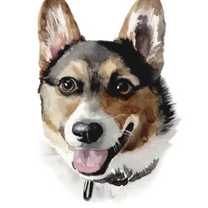 May include: Watercolor painting of a brown and white dog with black fur on its head. The dog is looking at the viewer with its tongue sticking out. The dog is wearing a black collar.
