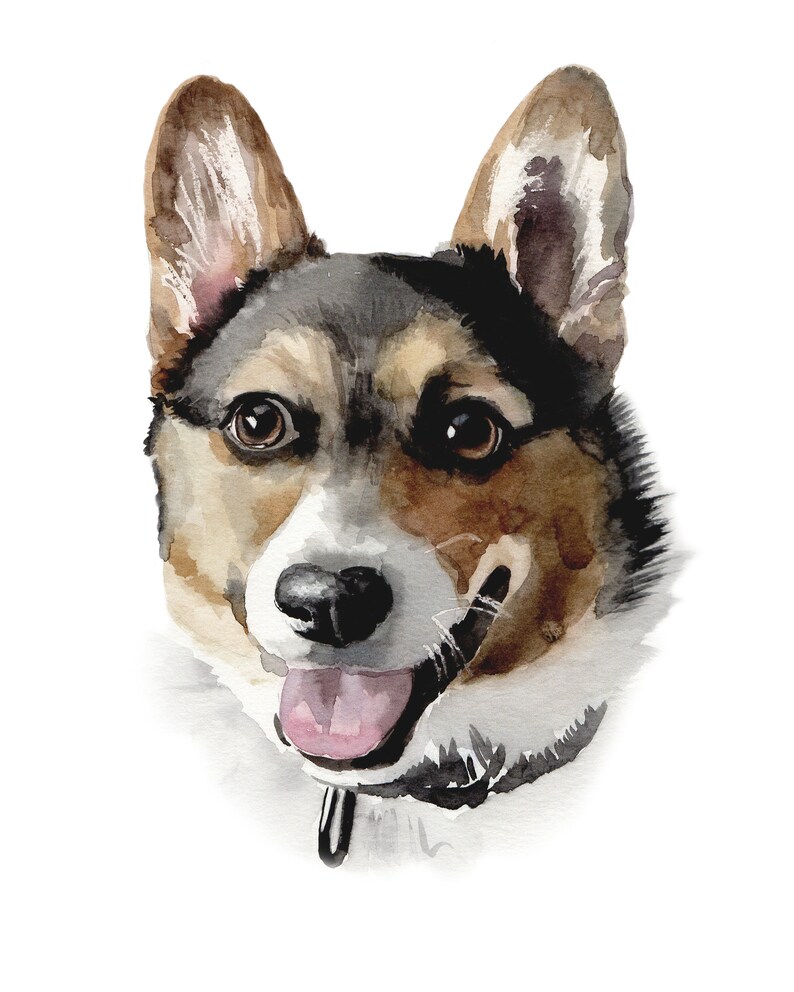 May include: Watercolor painting of a brown and white dog with black fur on its head. The dog is looking at the viewer with its tongue sticking out. The dog is wearing a black collar.
