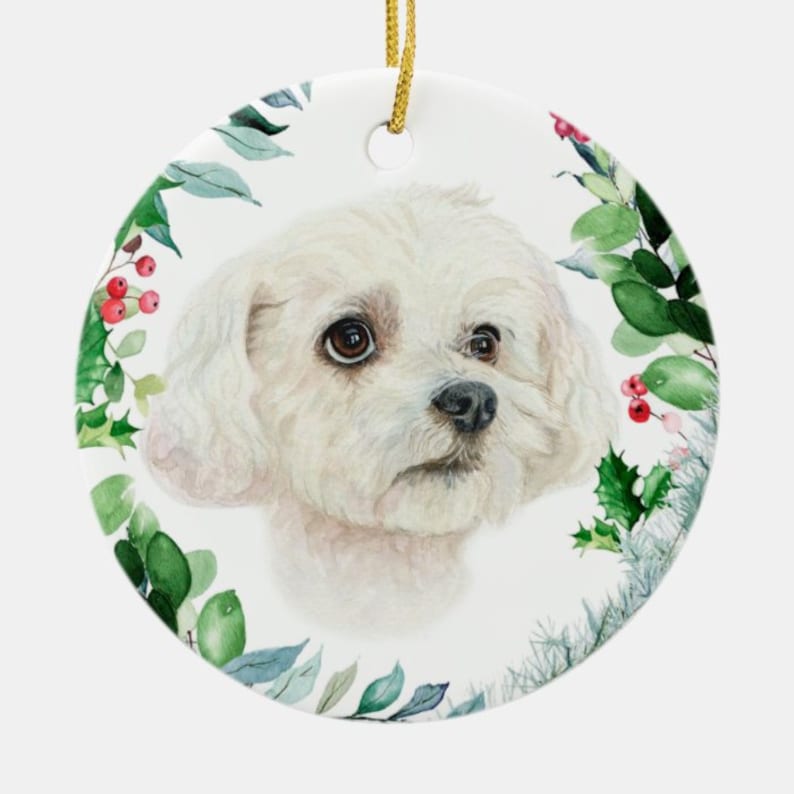 unique Christmas gift Christmas gift pet tshirt Custom pet mug creative gift ornament pet tote your pet original artwork