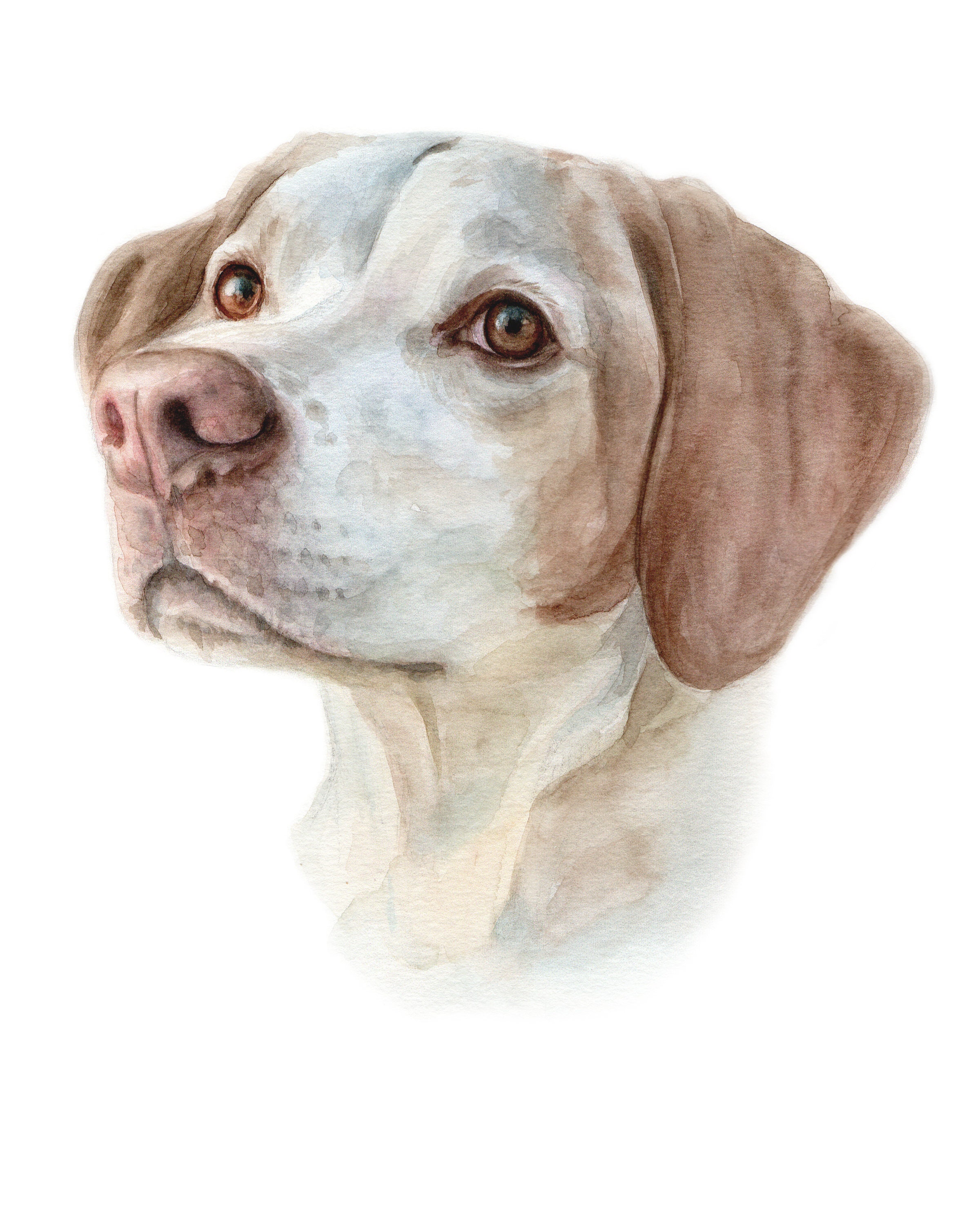Custom Dog Portrait | Watercolor Handmade Painting | Dog Art Memorial | Anniversary Gift