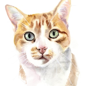Cat Portrait from Photo, Custom Cat Painting, Personalized Cat Painting, Cat Loss Painting, In Memory of Cat, Gift for Cat Lover